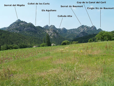 Vista de les Canals de Sant Miquel des de Cal Fusteret