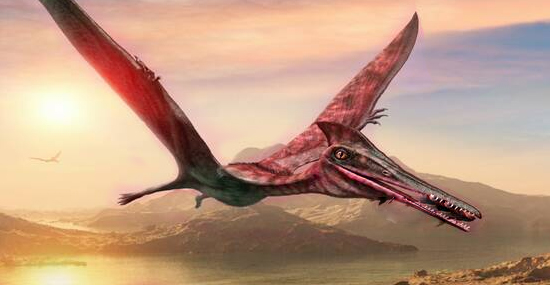 Dragão da Morte Argentino - Enorme Réptil Voador Antigo é Desenterrado nos Andes - Capa