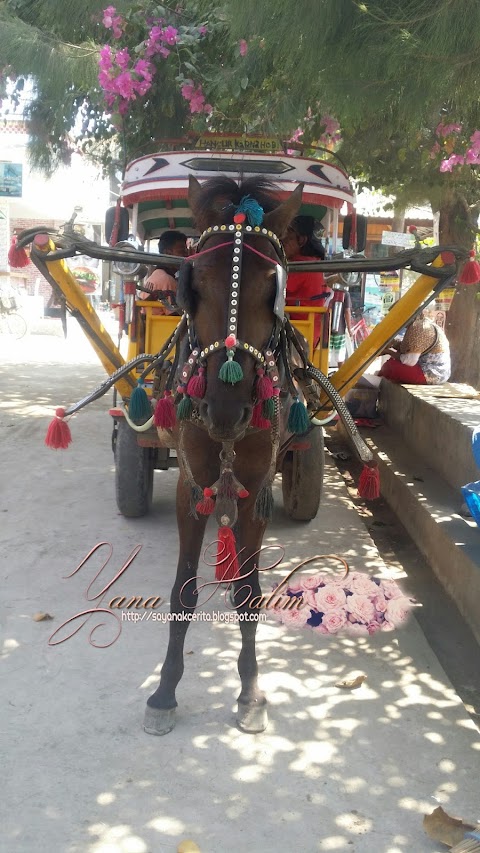 Percutian ke Lombok - Part 3 (Ronda-ronda Gili Trawangan)