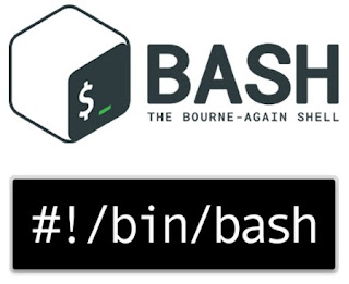 Download a list of files using a shell (bash) script.