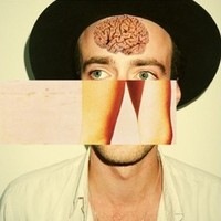 The Veils - Troubles of the Brain (2011)