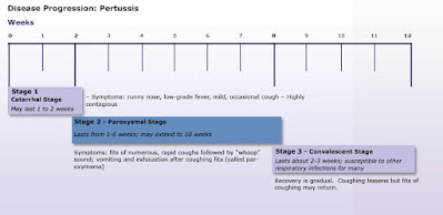 Perjalanan penyakit pertusis dibagi 3 fase: catarrhal, paroxysmal dan convalescent