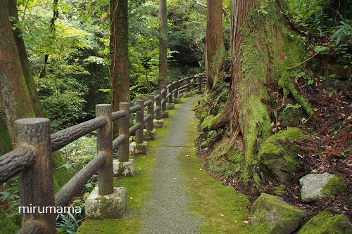 千巌渓までの小路