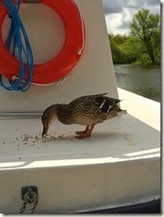 IMG_0856