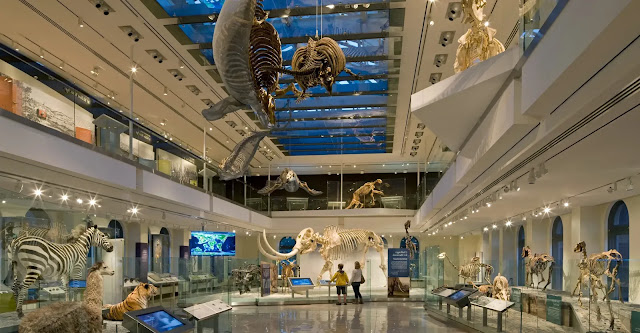 the Natural History Museum of Los Angeles