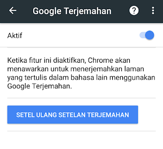 Screenshot seting terjemahan otomatis google