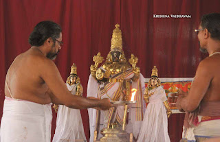 Sri Parthasarathy Perumal, Dhavana Utsavam, Thirumanjanam, Purappadu,  Triplicane,  Purappadu, Thiruvallikeni, Utsavam, 