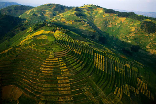 The Aerial Art of George Steinmetz