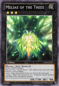 Meliae