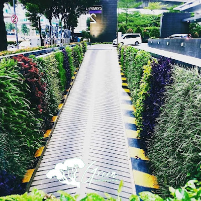 Jasa Taman Vertikal Pekalongan - Tukang Vertical Garden di Pekalongan