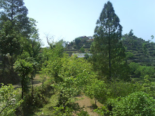 View of Khala Gaon from Dhaar