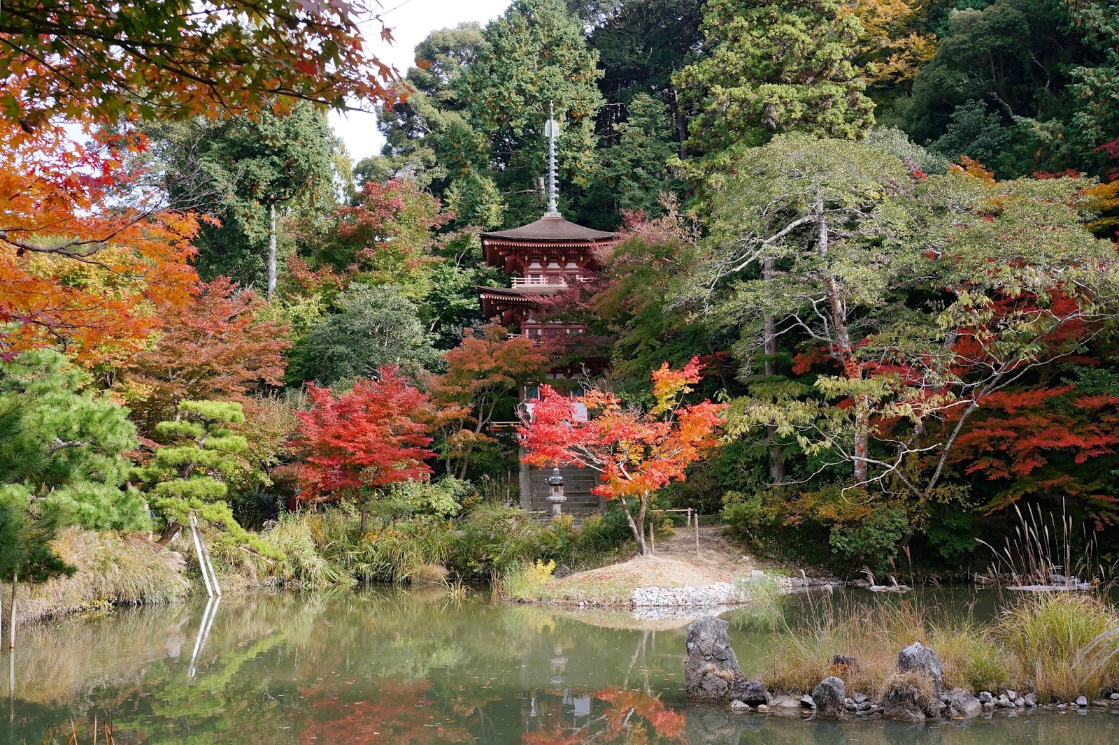 Desain Taman Rumah Minimalis Sederhana Gaya Jepang Download