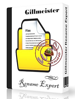 Gillmeister Rename Expert Business v5.3.1 Full Version With Crack 