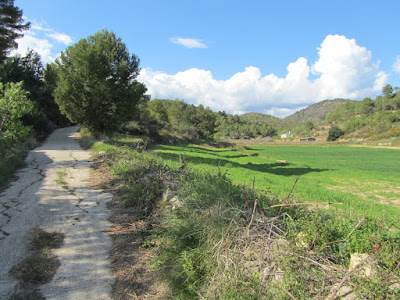 LA BISBAL DEL PENEDÈS - ROTLLAT - FONDO DEL TOTARREU - COLL DELS CARRERS - LA COSTA SEGUINT BARRAQUES DE PEDRA SECA, Camí del Rotllat a La Bisbal del Penedès