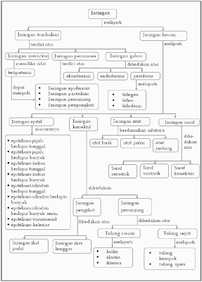 Peta konsep jaringan  hewan  dan tumbuhan Pustaka Pandani