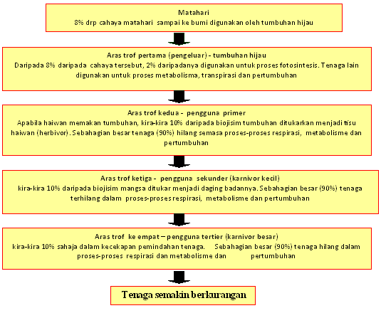 Contoh Contoh Ekosistem Hutan - Cara Ku Mu