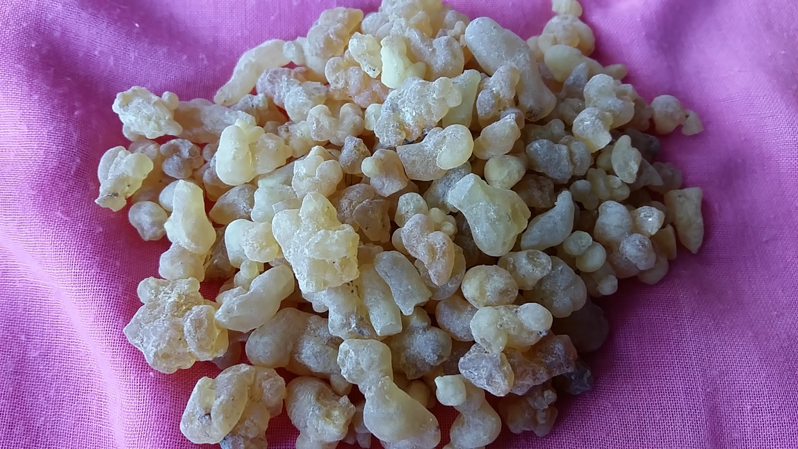 Rawatan Herba Dan Pemakanan: Frankincense ( Luban 