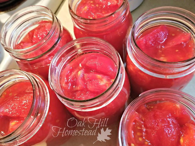 Pint jars of raw-packed tomatoes and liquid, ready to put in the canner