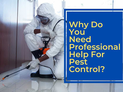 Why Do You Need Professional Help For Pest Control?