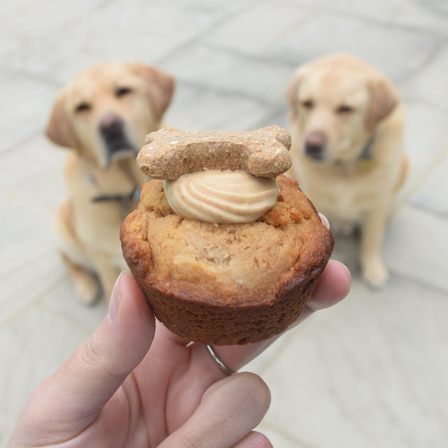 Homemade Pupcake Recipe