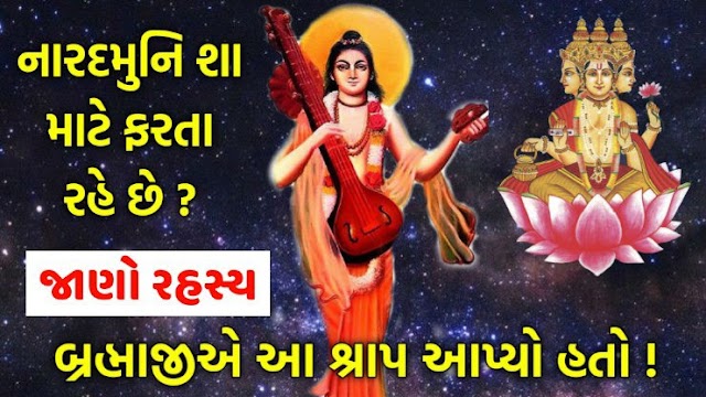 નારદજી શા માટે ત્રણેય લોકમાં ફરતા રહે છે ? જાણો તેની રોચક કથા !