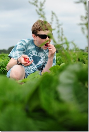 Strawberry Picking & Marcus band 057