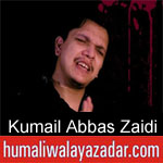 https://humaliwalaazadar.blogspot.com/2019/08/kumail-abbas-zaidi-nohay-2020.html
