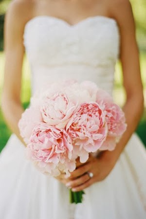 Lush Peonies For Weddings