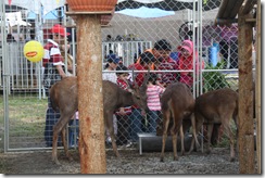 MAHA 2010 024