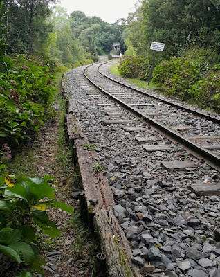 Roteiro de final de semana em Garibaldi, na Serra Gaúcha