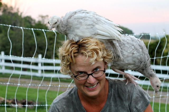 Young turkeys roosting on Gypsy Farmgirl's head