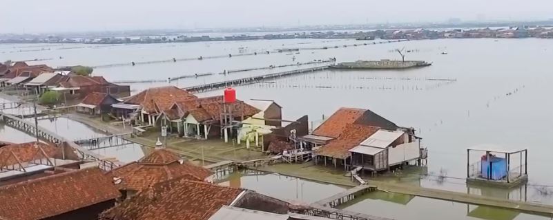Ancaman Perubahan Iklim; Timbulsloko, Desa ini Dulu adalah Daratan Tetapi Sekarang Sudah Menyatu dengan Lautan