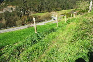 Candanín, continuación del sendero