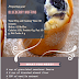 Keto Muffin Recipes: Blueberry Muffins Keto Special 