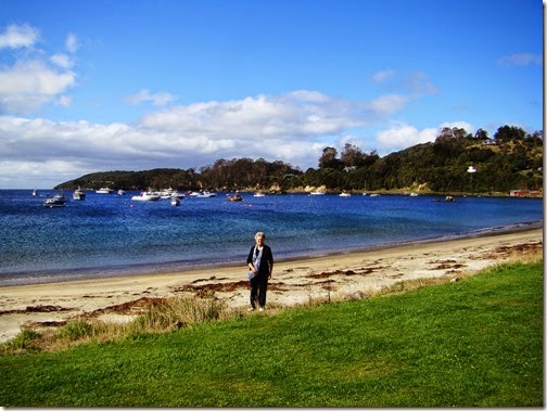 Stewart-Island15
