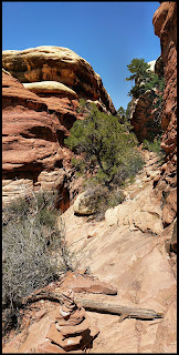 Coming out of a Slot Canyon on Chelser Park Canyonlands Needles District