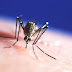 10 country where you are exposed to contact zika virus