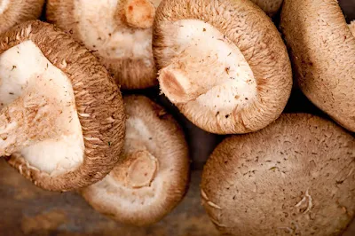 Shiitake Mushroom Products In India