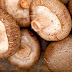 Shiitake Mushroom Products In India | Buy Shiitake Mushroom Online | Shiitake Mushroom Protein Powder Exporter