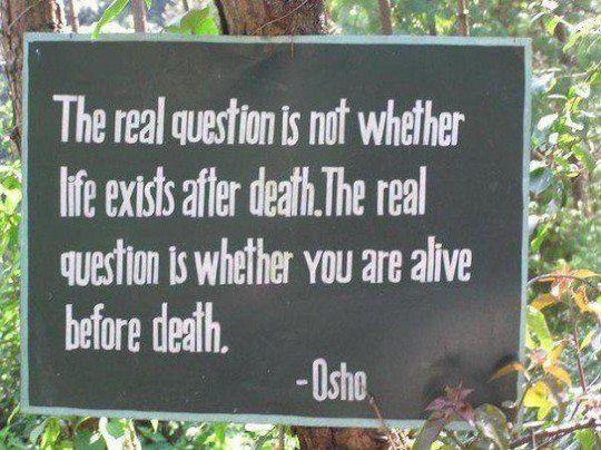 The real question is not whether life exists after death. The real question is whether you are alive before death.