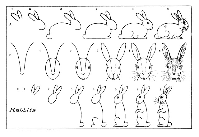 Steps on how to draw a rabbit