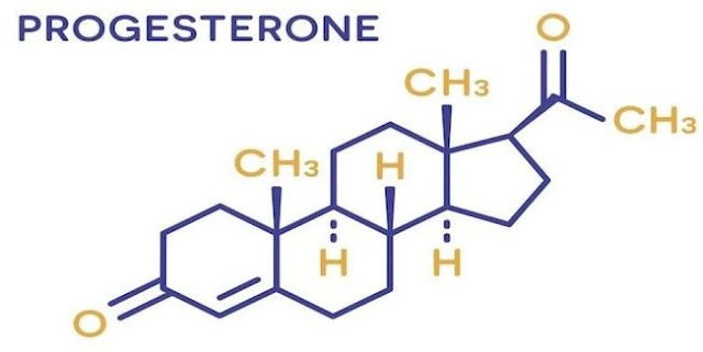 apa yang dimaksud dengan hormon progesteron