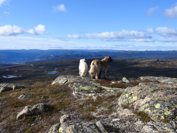 sørbølfjellet