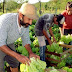   Un nuevo ministerio de agricultura para pocos