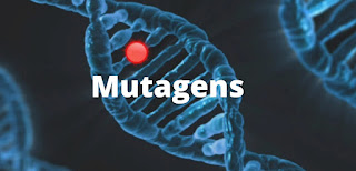 Mutagens: Definition, Types Effects and Nature