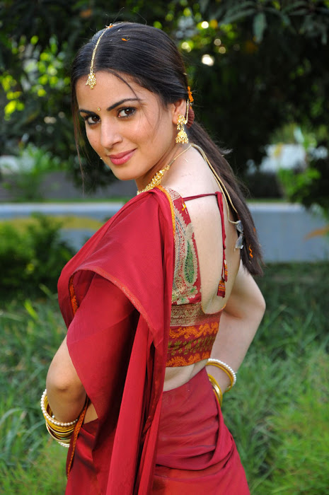 shraddha arya in half saree actress pics