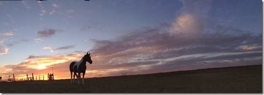 1602205_801683959848479_2110755452_o