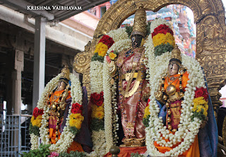 Rohini,Vaigasi, Purappadu,Video, Divya Prabhandam,Sri Parthasarathy Perumal, Triplicane,Thiruvallikeni,Utsavam,