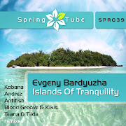 Evgeny BardyuzhaIslands Of Tranquility (REMIXES) (evgeny bardyuzha islands of tranquility remixes)