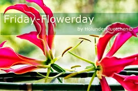 http://holunderbluetchen.blogspot.de/2014/09/friday-flowerday-3814.html